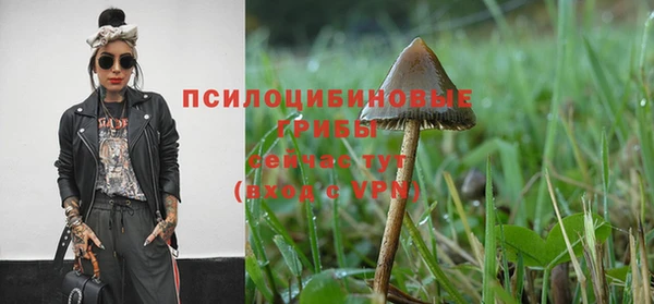 эйфоретик Алексин