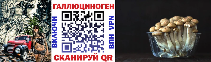 хочу наркоту Переславль-Залесский Галлюциногенные грибы Psilocybe